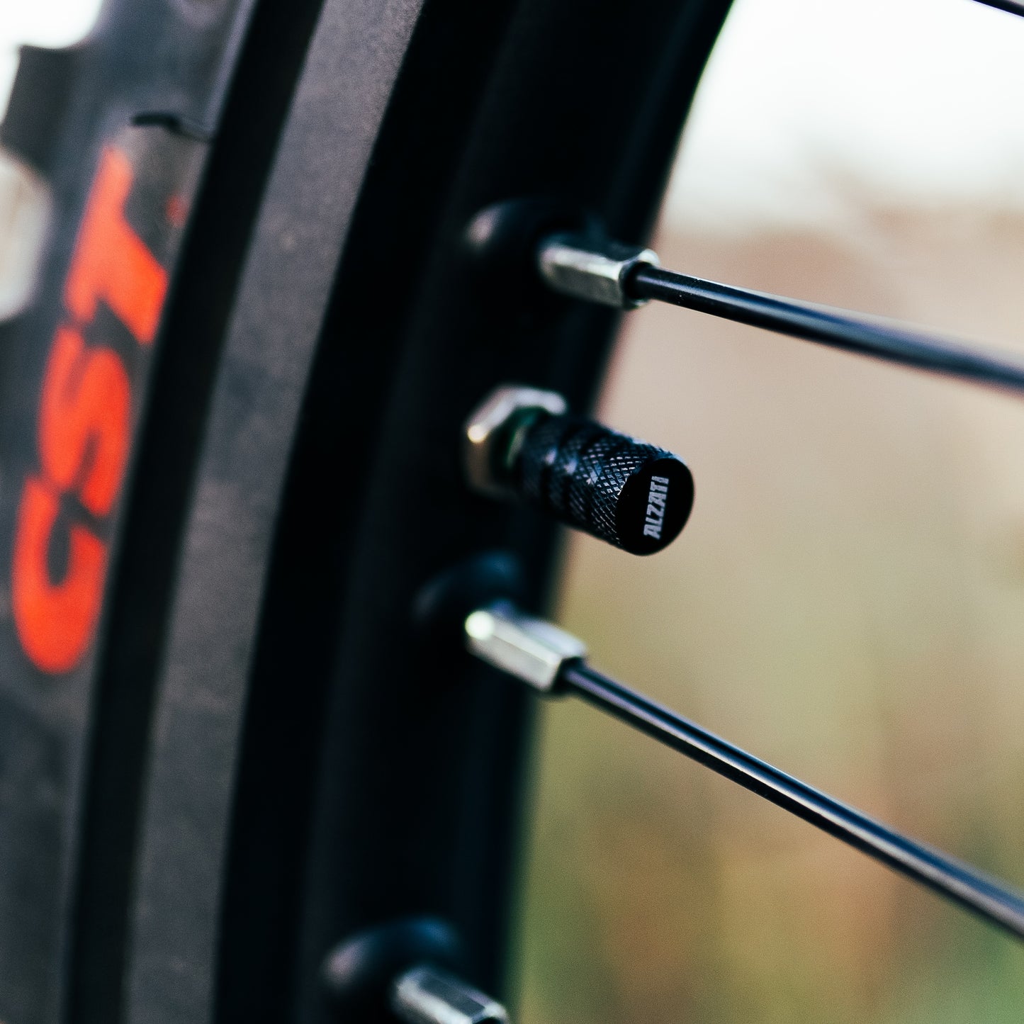 Valve Stem Caps - Set of 2